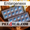 Enlargenexx viagra4